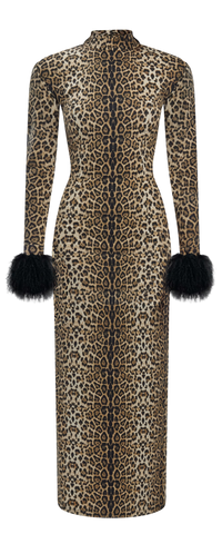 Ghost Image 1